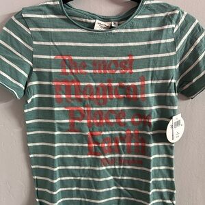 Junk Food Disney Parks The Happiest Place On Earth Green Striped T-shirt Youth